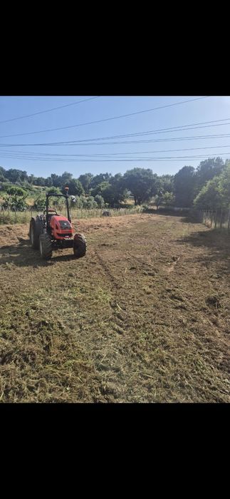 Serviços  de jardinagem limpeza de terrenos,  bricolage pinturas  l