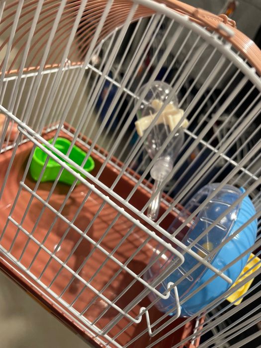 Gaiolas de hamster e acessórios