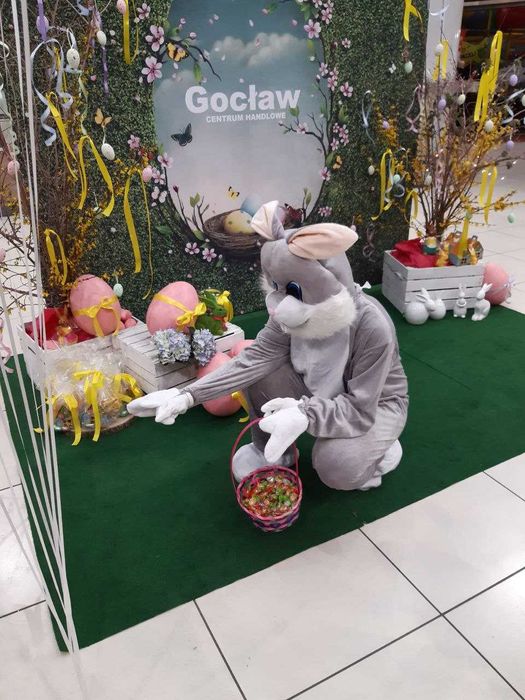 zając kostium wynajem kurczak wielkanocne warsztaty animacje