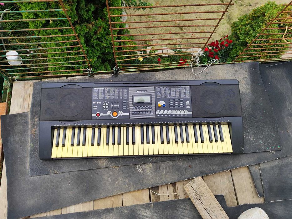 Синтезатор  Cortland