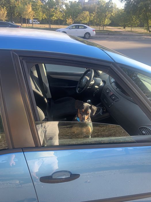 Ситроен с4 Пикассо отличное состояние или обмен на бус пассажир