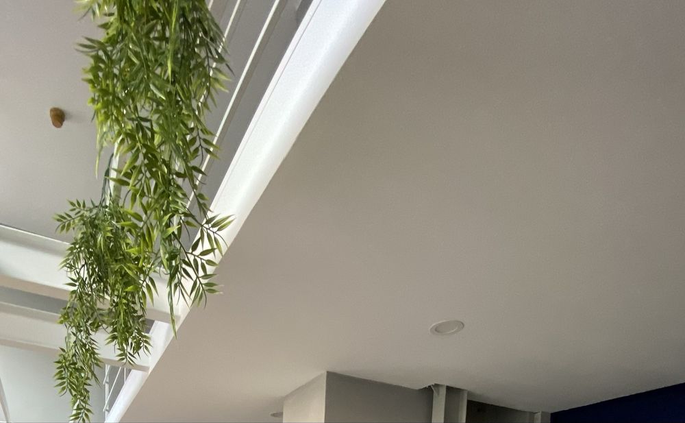 Ramos suspensos decorativos