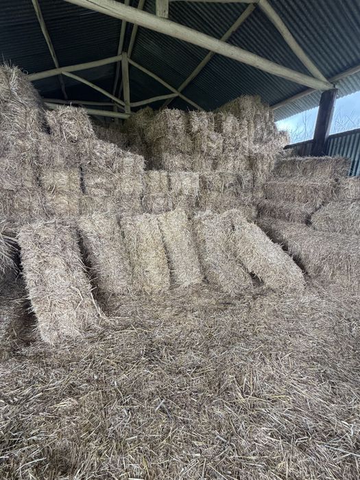 Fardos De Feno  Palha