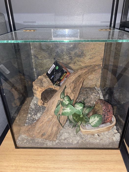 gotowe terrarium 30x30x30