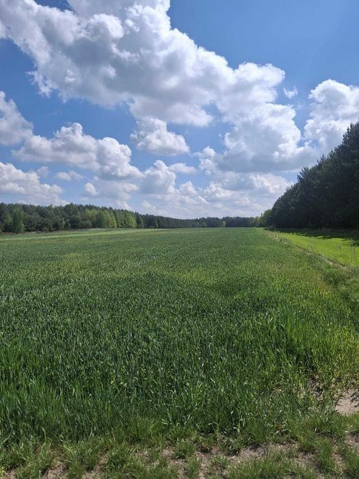 Działki rolno-budowlane - sprzedaż
