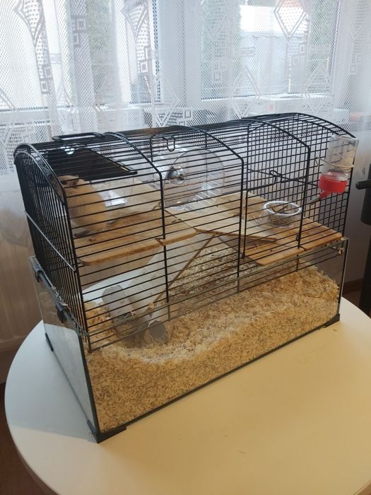 Myszoskoczek z klatką