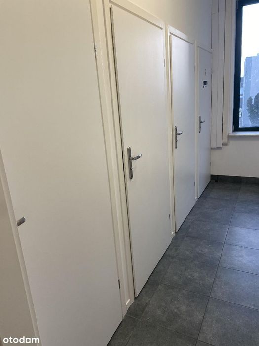 Lokale do wynajęcia od 80m2 -250m2 CENTRUM MIASTA