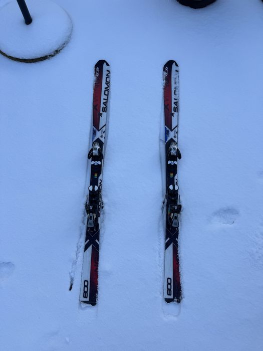 Narty Salomon X-Wing 800 długość 158