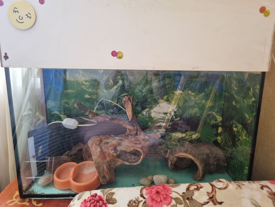 Аквариум-террариум