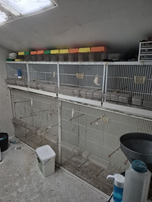 Vendo gaiolas para pássaros