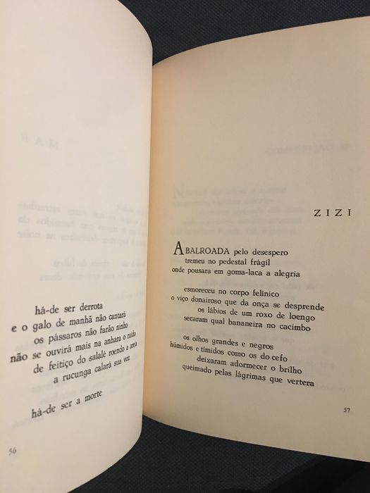 Poesia Ultramarina: Luna de Oliveira-Cartaxo e Trindade-Ruy Burity