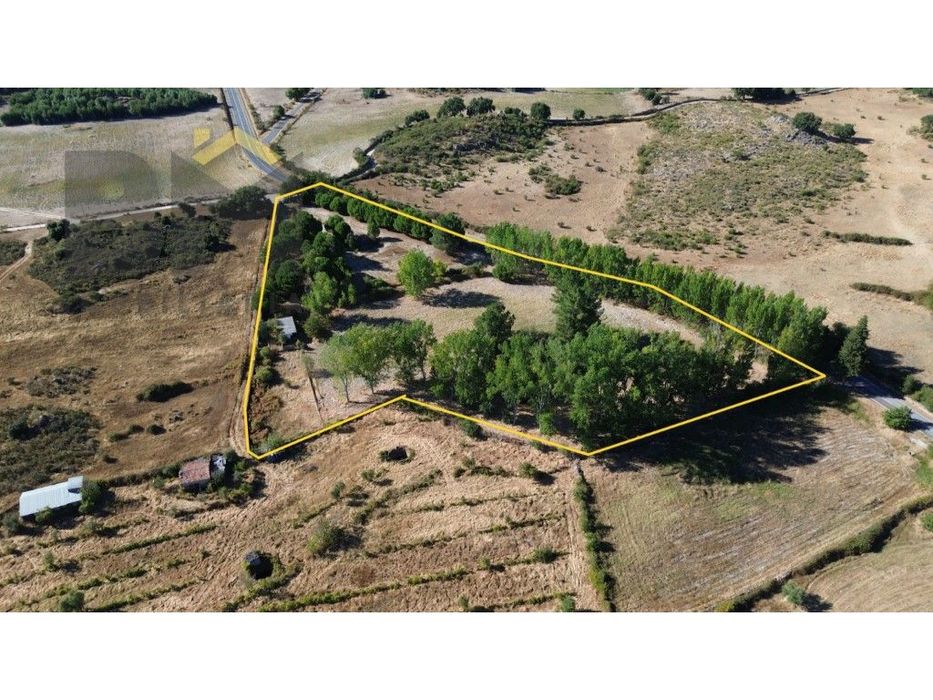 Quinta com 15.500m2 para venda próxima à vila de Alcains!