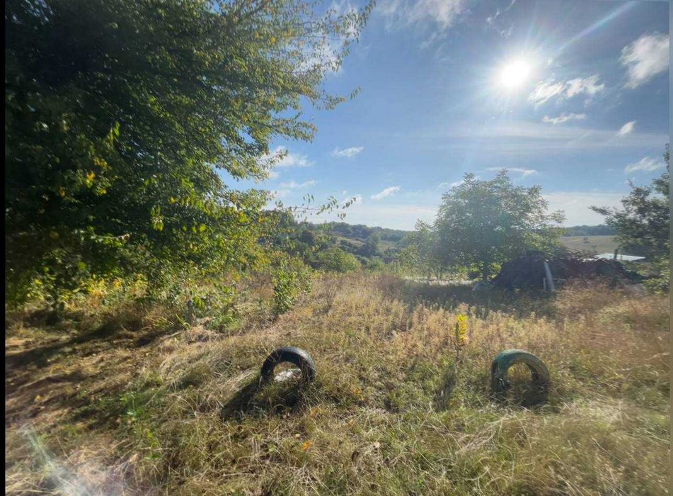 Продажа участка земли в СТ Припять (Васильковский район )