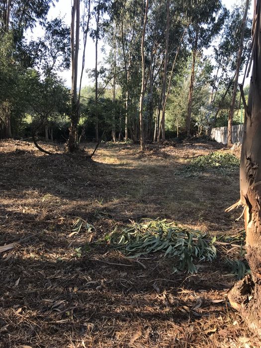 Terreno urbano Sto Varão