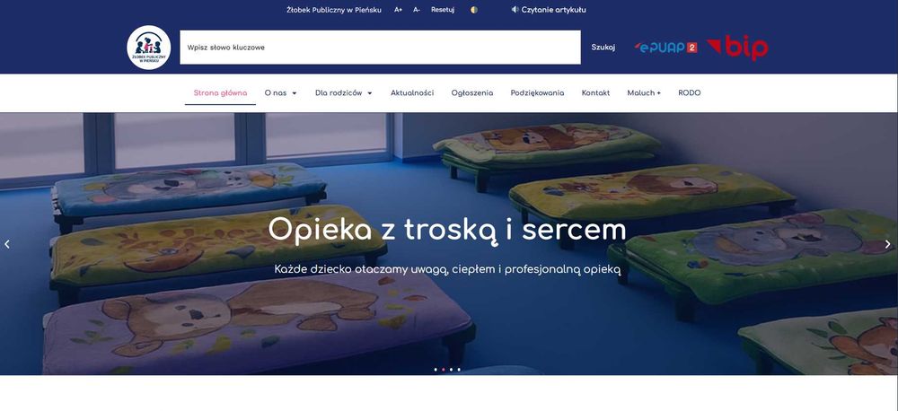 Strona internetowa, Tworzenie stron internetowych, Pozycjonowanie, SEO