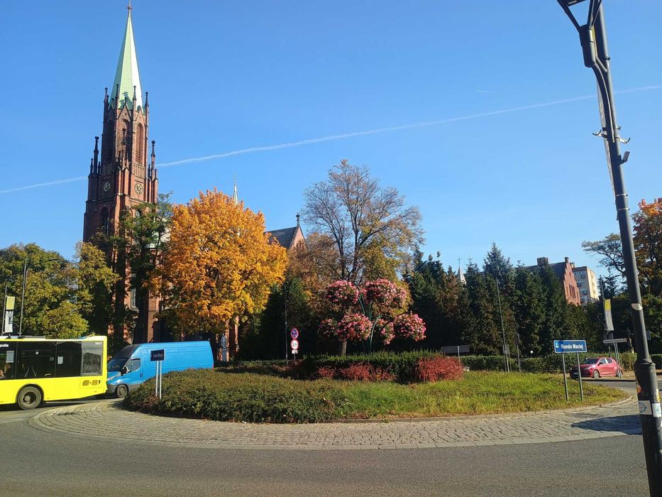 Lokal użytkowy do wynajęcia