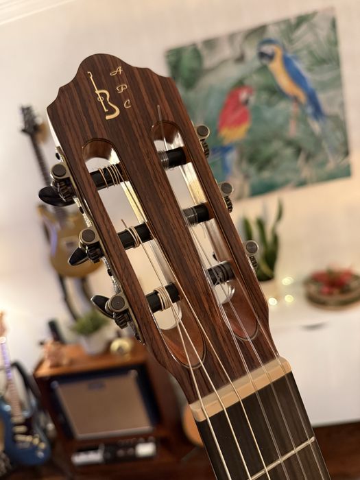 Guitarra Clássica APC 8C