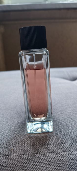 Perfumy Dolce Gabbana