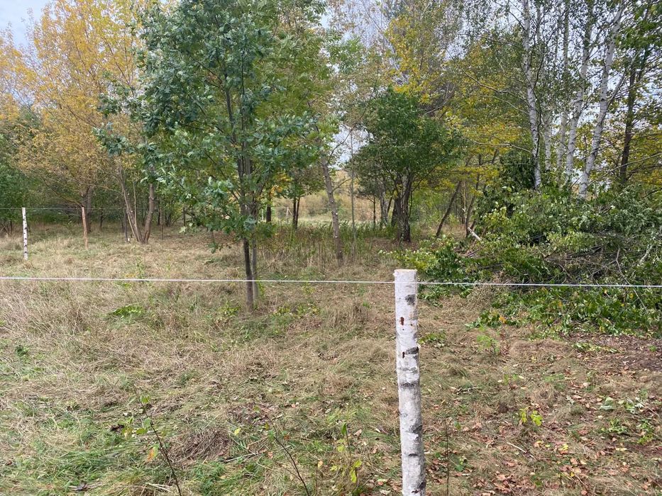 Działka rolna z dostępem do rzeki Świder - Widok 5