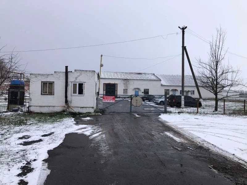 Майно птахофабрики, 48392 кв. м, вул. Кооперативна, 10А