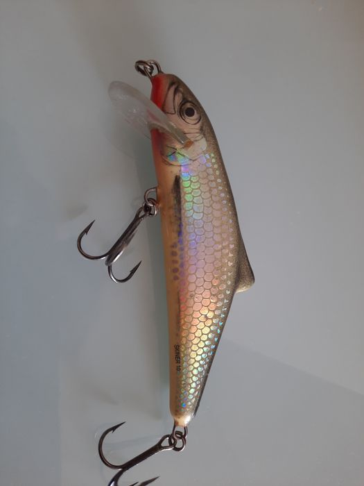 Salmo skinner 10 HGS stary