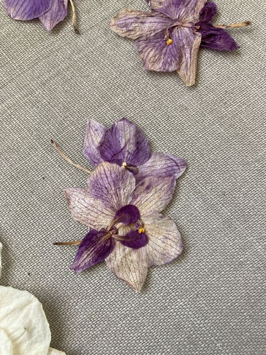 Орхідея пресована для творчості для епоксидки