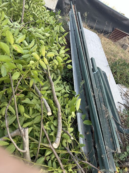 Vendo caleiros verdes