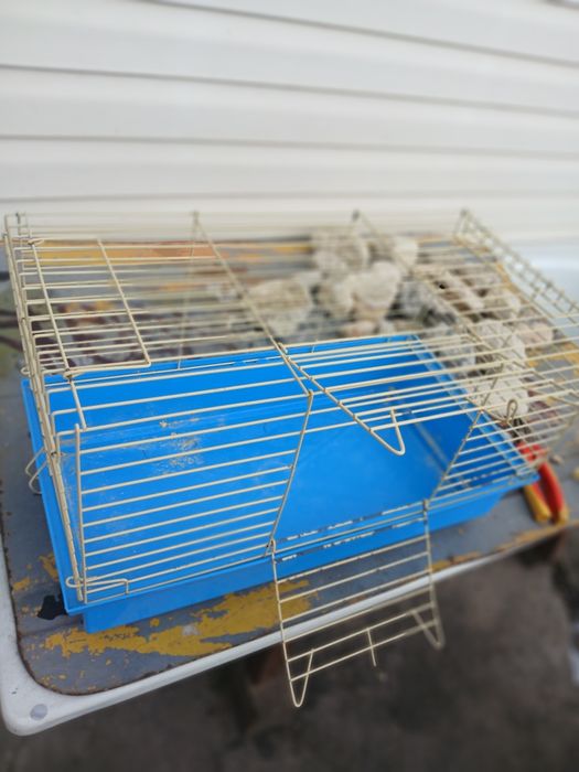 Клітка для хом'ячків