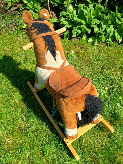 Konik na biegunach