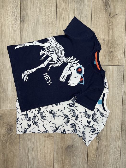 Набір футболок для хлопчика динозаври Little kids Pepco, футболка