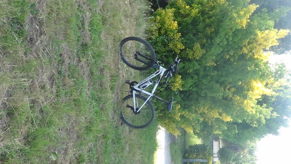 Bicicleta Montanha ROCKRIDER ST100