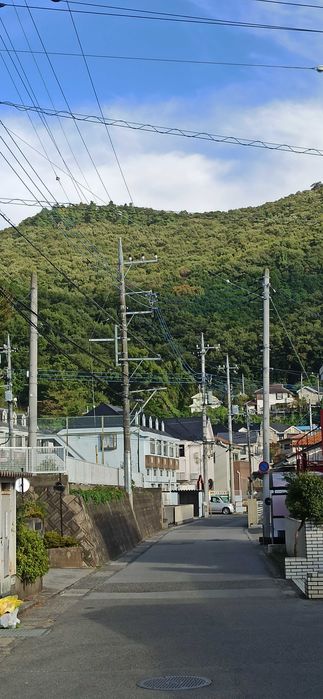 Репетитор японского языка