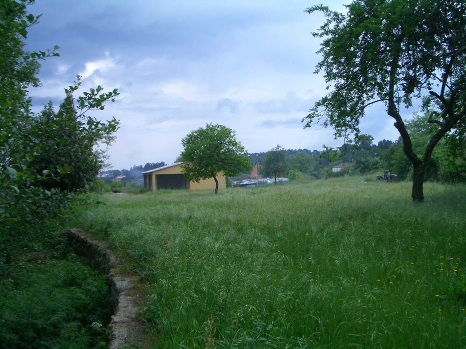 Quinta em Mangualde