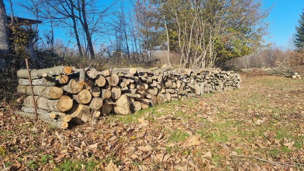 Sprzedam drzewo opałowe drewno na opał