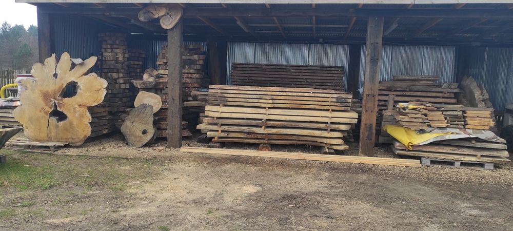 Orzech włoski dąb akacja wiąz jesion czarny dąb robinia klon jawor