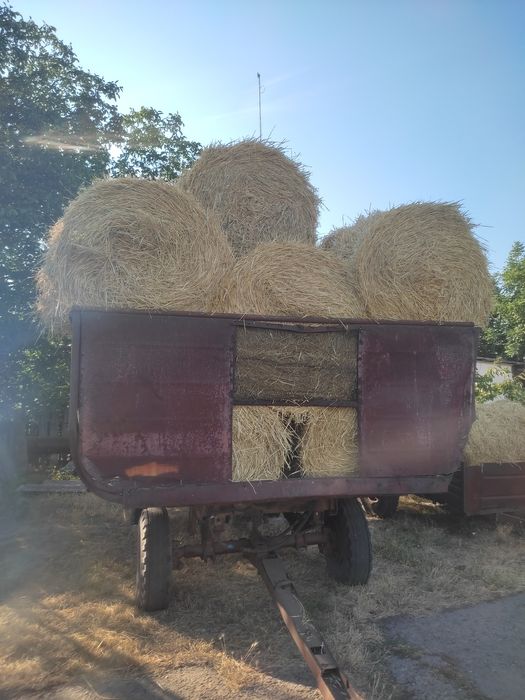 Продам причіп , котки наливні і бурячний