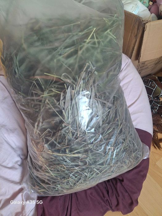 Сіно зелене для гризунів 3 кг 199