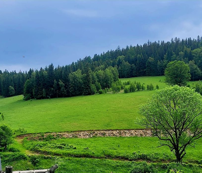 Działki budowlane 2000m2  / Sudety