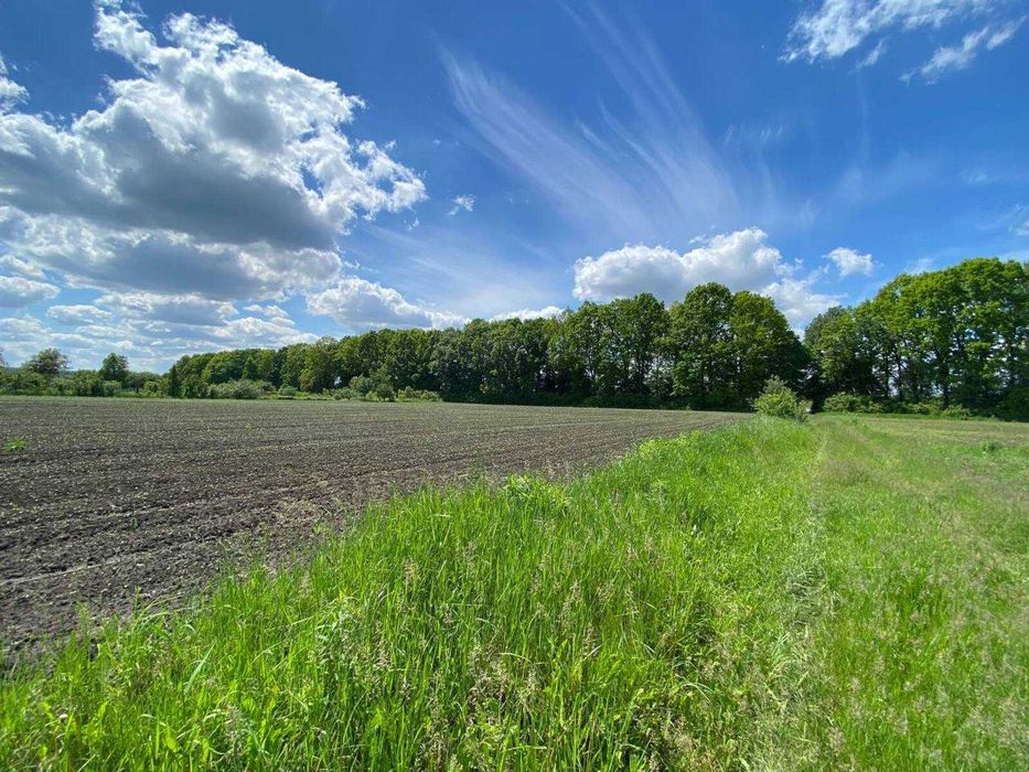 Продаж земельної ділянки в Широкій Греблі