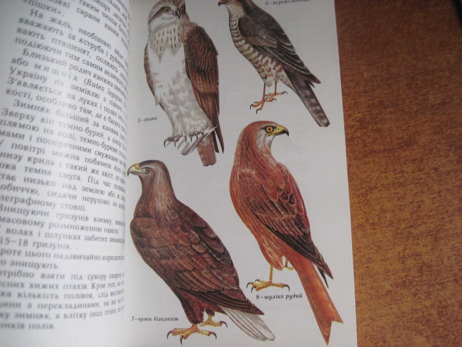 П. Гальченко. Пернаті друзі. Київ Урожай 1978 Зменешений формат