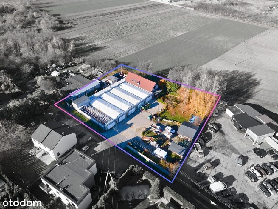 Dom z działającym biznesem - pieczarkarnia