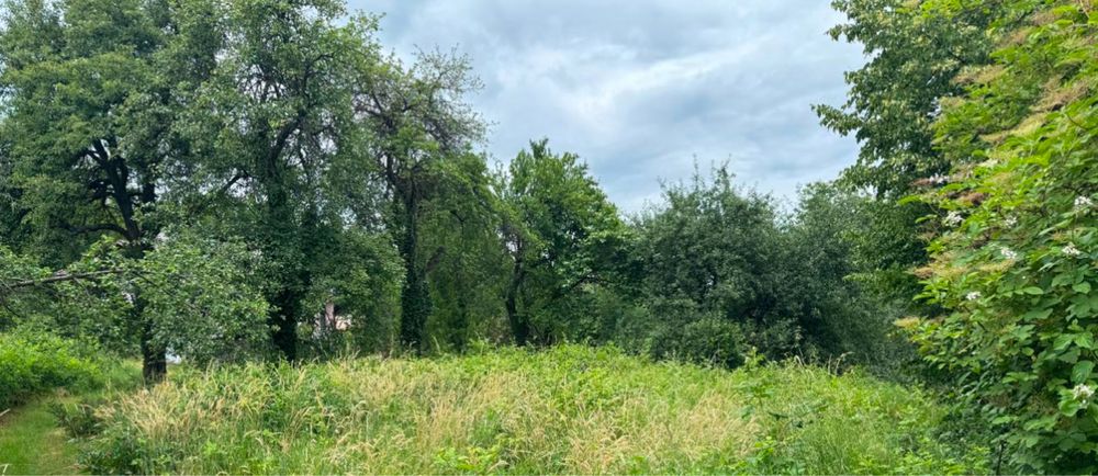 Земельна ділянка біля лісу