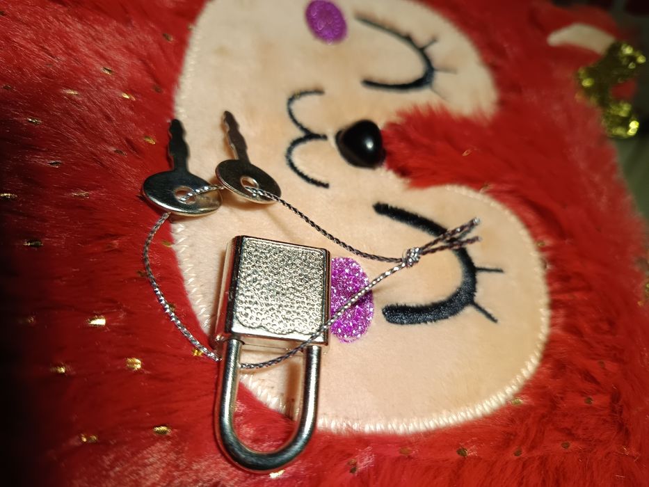 2 cadernos com capas de peluche