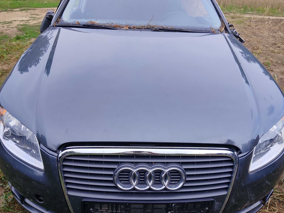 Audi a4b7 na części