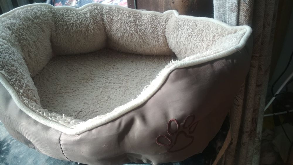 Хатнє місце для цуценяти