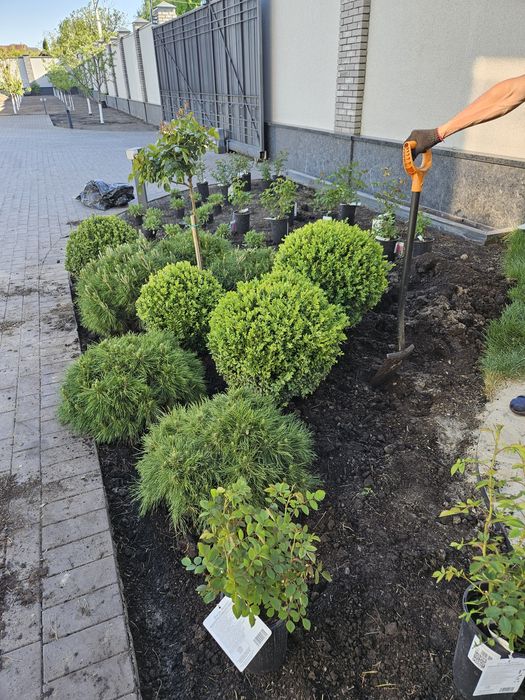 Ландшафтний дизайн/Догляд за садом/Садівник/Автополив