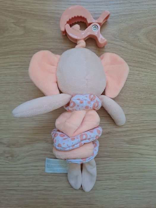 Saro companheiro passeio elefante Bebé