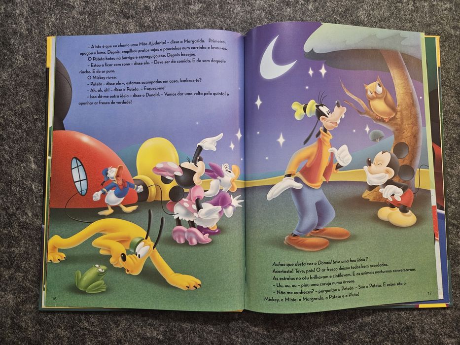 A Casa do Mickey Mouse – Acampar em Casa