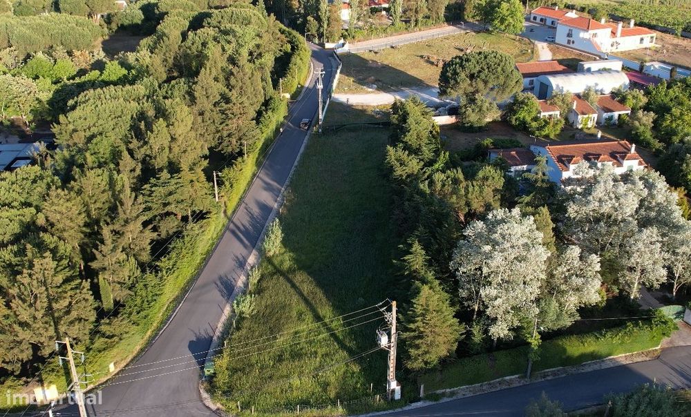 Terreno  Venda em Vale de Santarém,Santarém