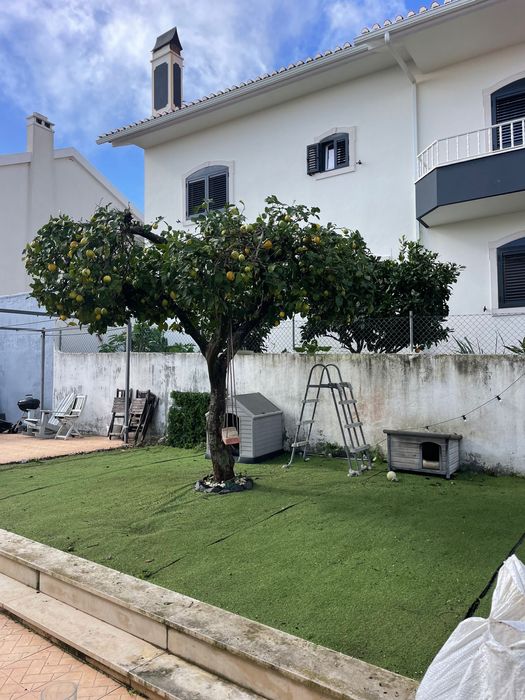 Relva Artificial e Jardinagem, Corte em Altura, Plantação e Regas